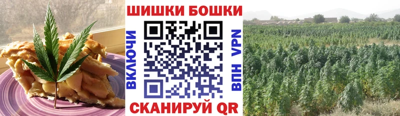 Купить закладки  Ахтубинск  Canna-Cookies конопля 