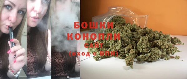 сатива Горняк