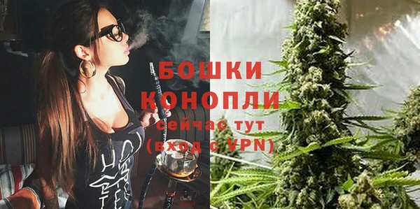 PSILOCYBIN Горнозаводск