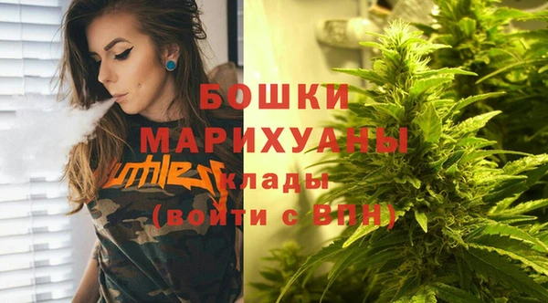 Альфа ПВП Горно-Алтайск