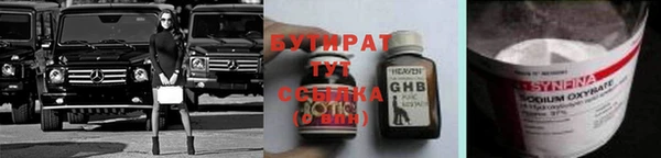 сатива Горняк