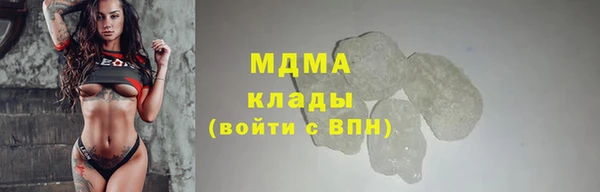 сатива Горняк