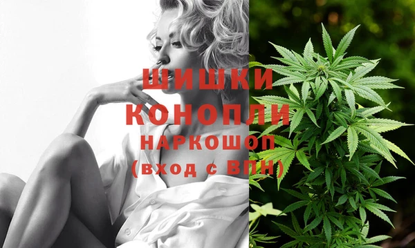 PSILOCYBIN Горнозаводск
