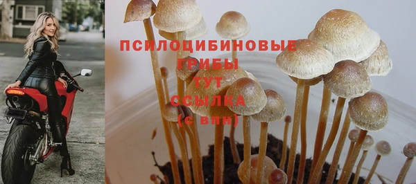 Альфа ПВП Горно-Алтайск