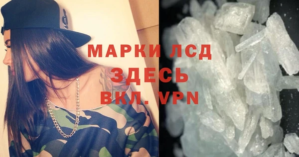 сатива Горняк