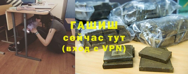 сатива Горняк