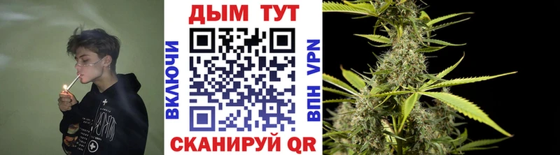 Купить  Ахтубинск  Марихуана планчик 
